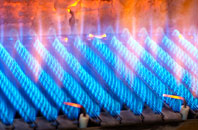 Wallisdown gas fired boilers